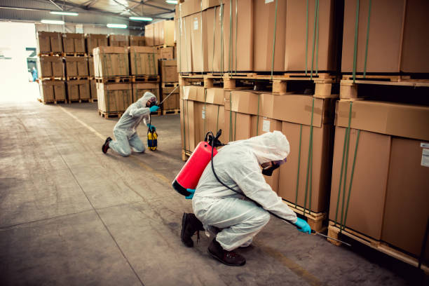 Best Affordable Pest Control Services  in Flora, IN