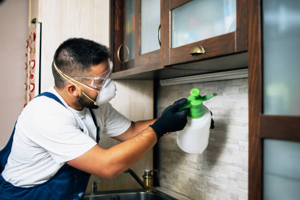 Best Flea Control Services  in Flora, IN