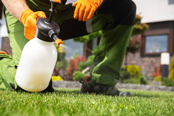Best Insect Control  in Flora, IN