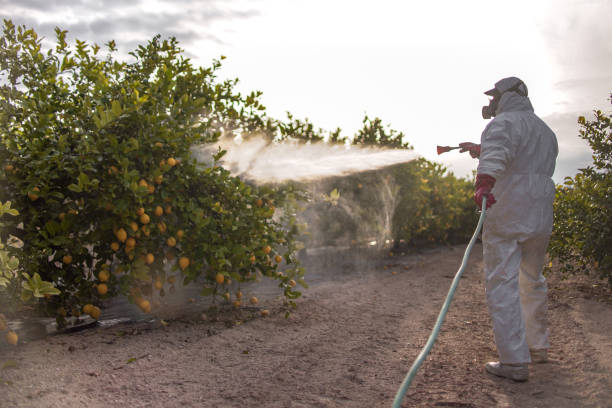 Best Pest Inspection Near Me  in Flora, IN