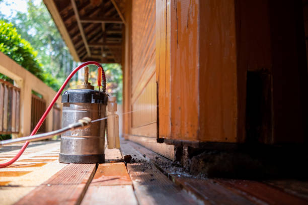 Best Termite Control Services  in Flora, IN