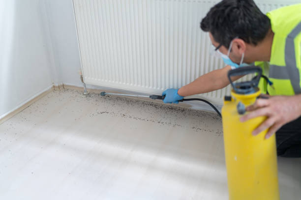 Best Wasp Removal Services  in Flora, IN